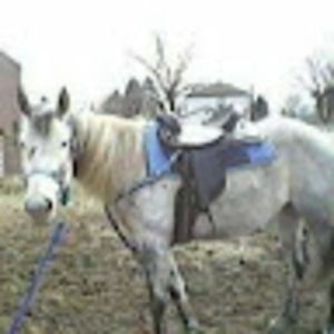 Meet your Posher, Willow